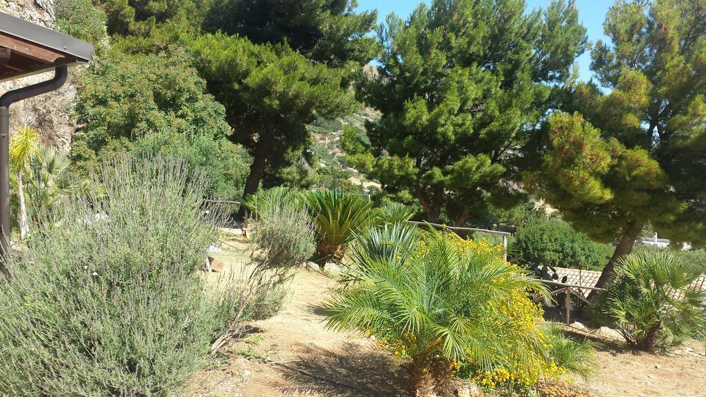 Agave Scopello别墅 外观 照片